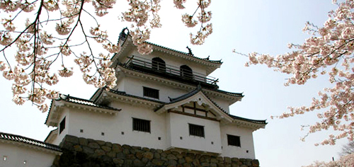 桜と歴史に触れることのできる益岡公園。