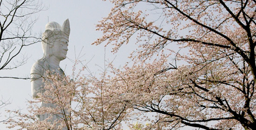 公園の頂、船岡城本丸跡に立つ船岡平和観音。