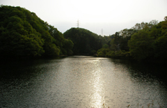 花いかだの近くの湖