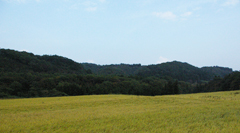 おさだから望む田園風景